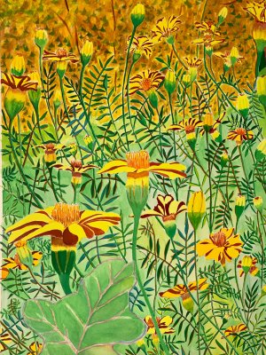 Detail, Dancing Rock Preserve Through the Marigolds