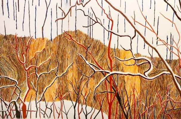 Detail, Dancing Rock Preserve in Snow