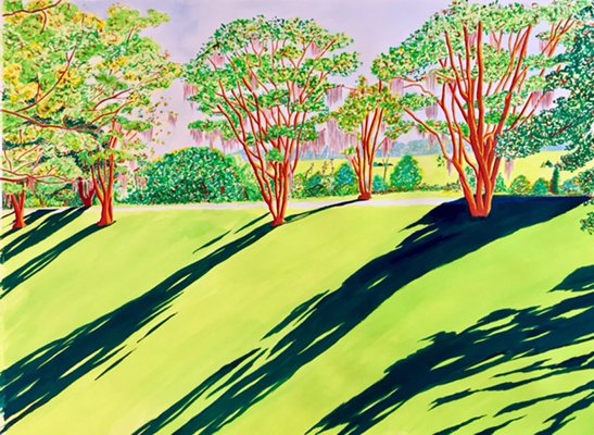 Crepe Myrtles in Summer