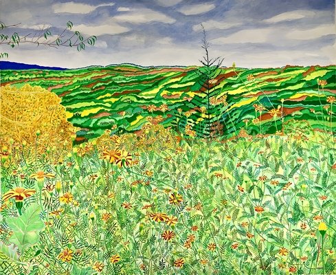 Dancing Rock Preserve Through the Marigolds