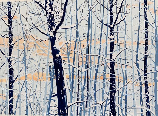 Snowy Trees and Clouds