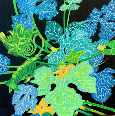 Squash Through the Cucumber Vine